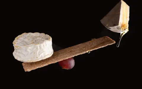 Queso camembert y brie, con galleta y uva. La diferencia entre camembert y brie se aprecia en sus formas y texturas.
