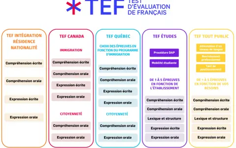 Diagrama del examen en francés (TEF) con sus diferentes módulos: Integración, Canadá, Quebec, Estudios y Público General.