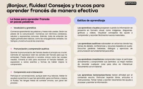 Consejos para aprender francés: vocabulario, pronunciación, comprensión y estilos de aprendizaje. ¡Hablar francés es posible!