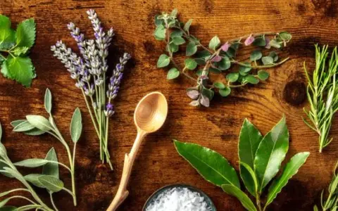Variedad de hierbas frescas, incluyendo lavanda y romero, dispuestas sobre madera. Explora los usos de las hierbas provenzales en la cocina y aromaterapia.