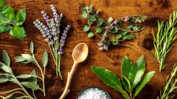 Variedad de hierbas frescas, incluyendo lavanda y romero, dispuestas sobre madera. Explora los usos de las hierbas provenzales en la cocina y aromaterapia.